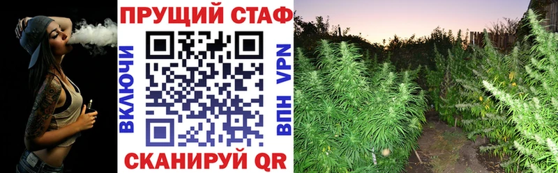 Все наркотики Сенгилей Alpha PVP  Амфетамин  Меф  Гашиш  КОКАИН  ссылка на мегу как войти  Каннабис 