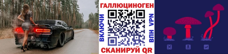 Псилоцибиновые грибы Cubensis  купить закладку  Сенгилей 